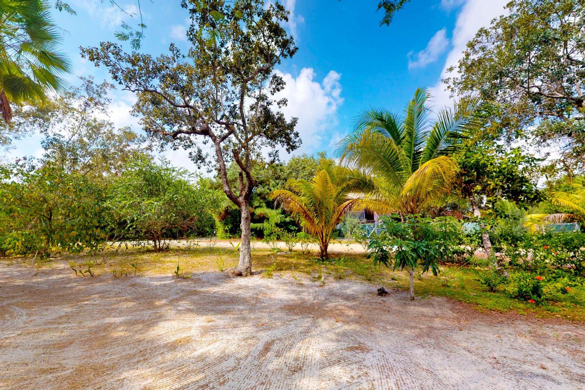 Casa Spuntino Villa Placencia Dış mekan fotoğraf