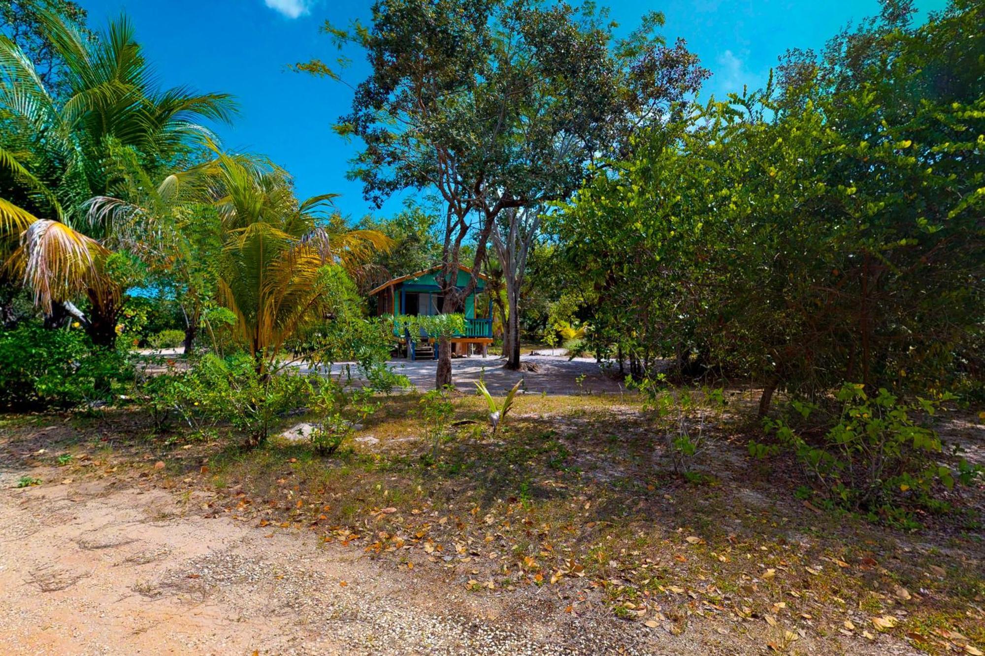 Casa Spuntino Villa Placencia Dış mekan fotoğraf